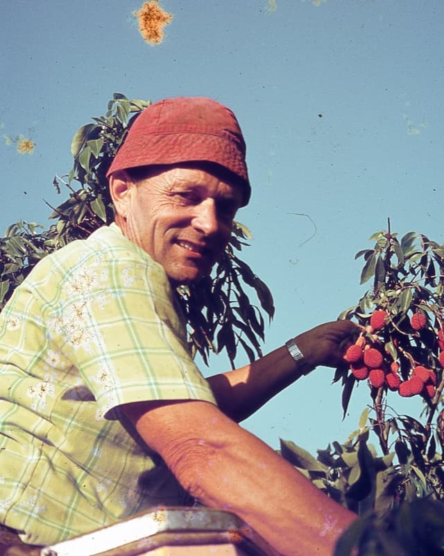 תמונה 5 מתוך משתלת אוהד